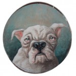 Bulldogge (VERKAUFT)