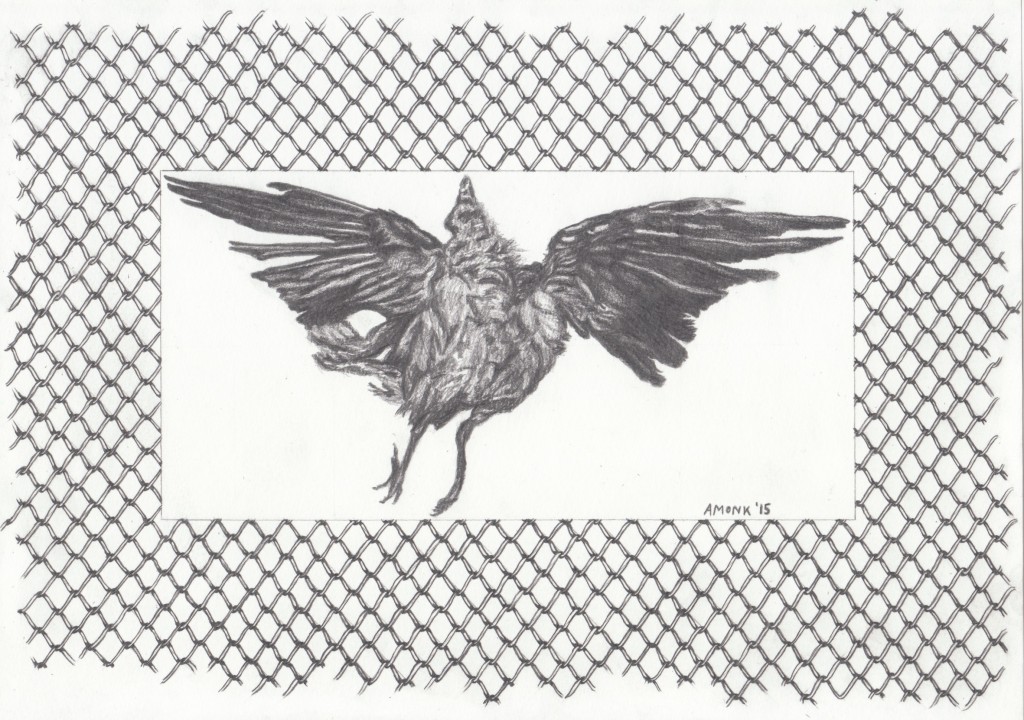 ohne Titel, Bleistift auf Papier, 30 x 20cm, Jan. 2015