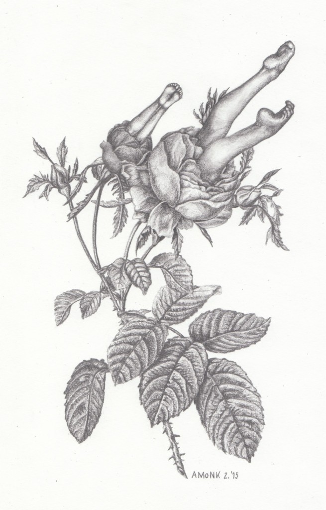 Rosen, Bleistift auf Papier, 16 x 24cm, Feb. 2015 (VERKAUFT)