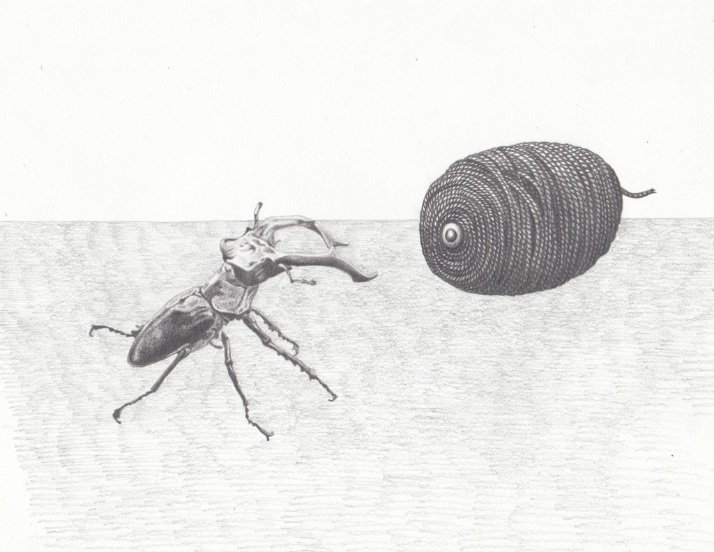 Wo die Liebe hinfällt, Bleistift auf Papier, 30 x 20cm, Jan.2015 (VERKAUFT)