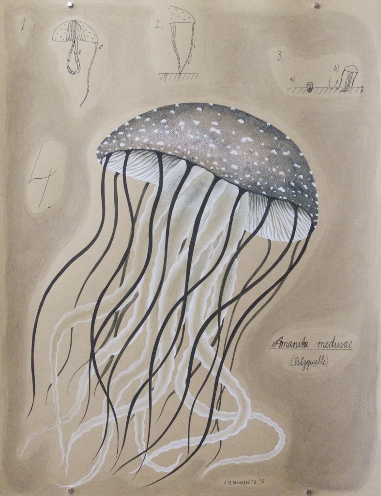 Amanita Medusae: Pilzqualle, 50cm x 65cm, Mischtechnik auf Halbkarton (VERKAUFT)