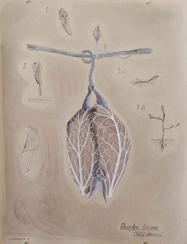 Chiroptera Brassica: Kohlfledermaus, 50cm x 65cm, Mischtechnik auf Halbkarton (VERKAUFT)