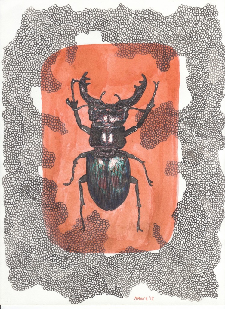 Hirschkäfer, Tinte auf Papier, 21,5cm x 29,5cm