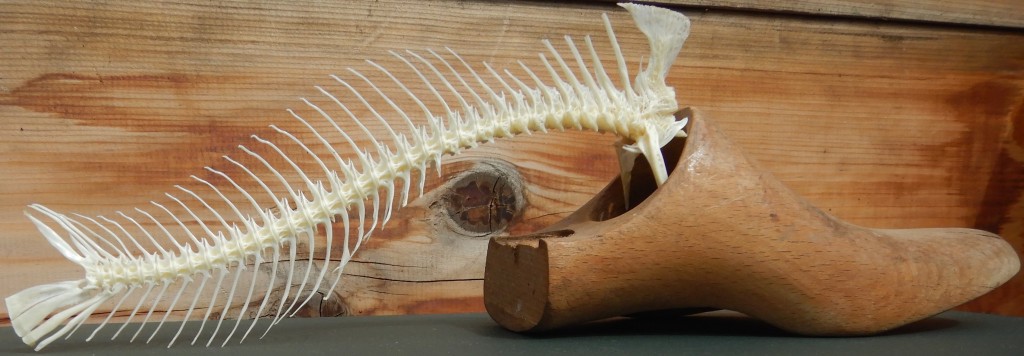 Als Original geboren, als Kopie gestorben, Holz, Fischknochen, Leinen, Acryl, B44H20T19cm, April 2018