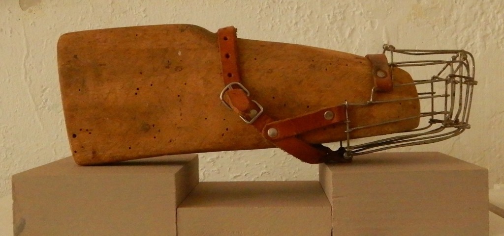 "truth in its cage", Holz, Leder, Metall, L28H13,5T13cm, Mai 2018