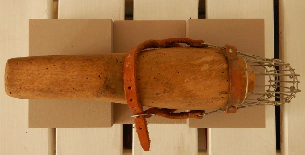 "truth in its cage" von oben, Holz, Leder, Metall, L28H13,5T13cm, Mai 2018