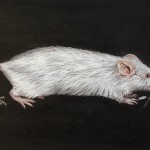 "Maus und Dichotomie", Acryl auf Karton