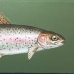 Diptychon "Regenbogenforelle", Acryl auf Holz, 2xB11H10T4cm (sold/verkauft) Diptychon "Regenbogenforelle", Acryl auf Holz, 2xB11H10T4cm (sold/verkauft)