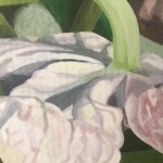 Hortensie Detail 3