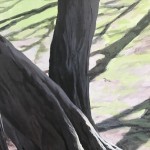 Bäume und Schatten Detail 3