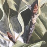 Buchenlaub 2 Detail 2